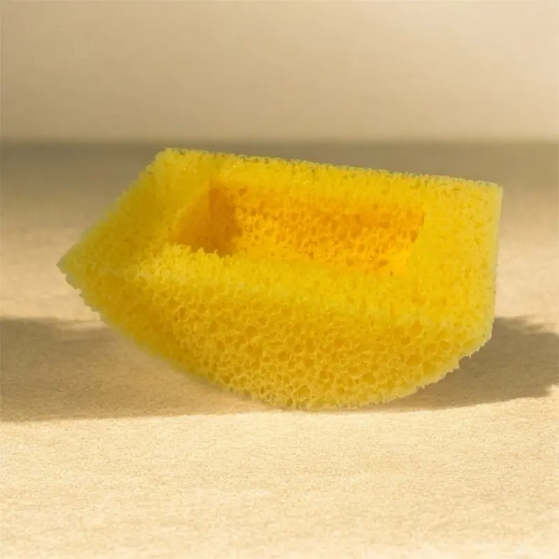 Clamshell Boat Sponges for DIY Projects Clamshell Boat Sponges for DIY Projects