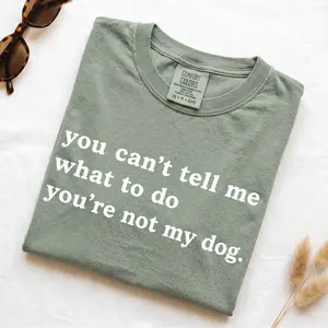 Comfort Colors NOT MY DOG T-Shirt, Vintage TEE 2026, PAT MNG Classic Fit Soft Relaxed Vintage Look - Casual  Womenswear
