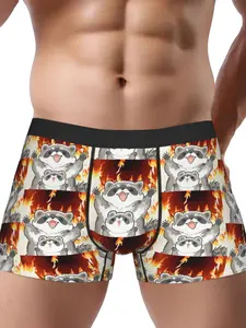BIIHUDU Men's Raccoon Print Underwear - Polyester Briefs with Stretch Comfort, Vibrant Animal Design & Non-Transparent Fabric