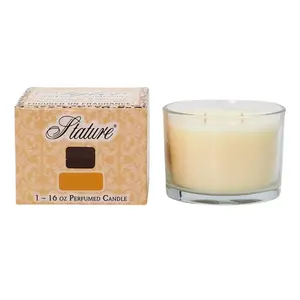 PINEAPPLE CRUSH Tyler Clear Stature 16oz Scented Jar Candle