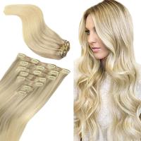 #17/22/60Ash Blonde to Golden Blonde and Platinum 