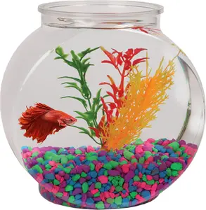 1 Gallon Fish Tank, Shatterproof Plastic, Crystal Clear