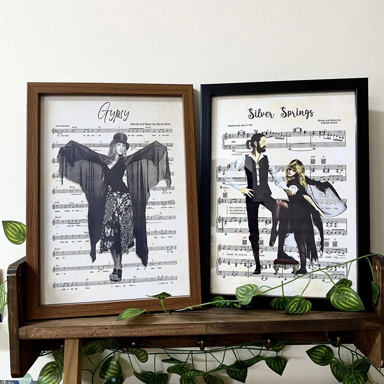 Silver Spring Stevie Nicks Poster Canvas, Stevie Nicks Poster