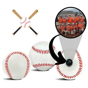 Baseball Collectible