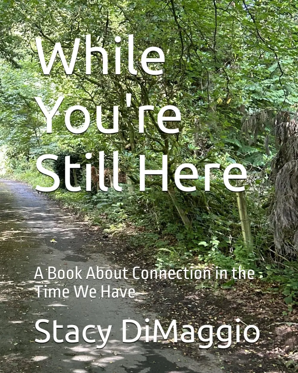 While You're Still Here: A Book About Connection in the Time We Have