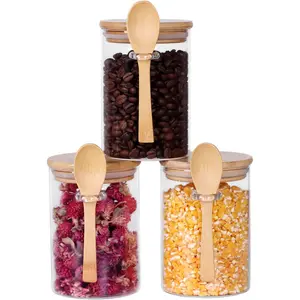 17 oz Small Glass Jars & Canisters Set of 3, with Bamboo Lids and Wooden Spoon Utensils, Kitchen Beverage Storage Containers for Loose Tea, Coffee, Jar
