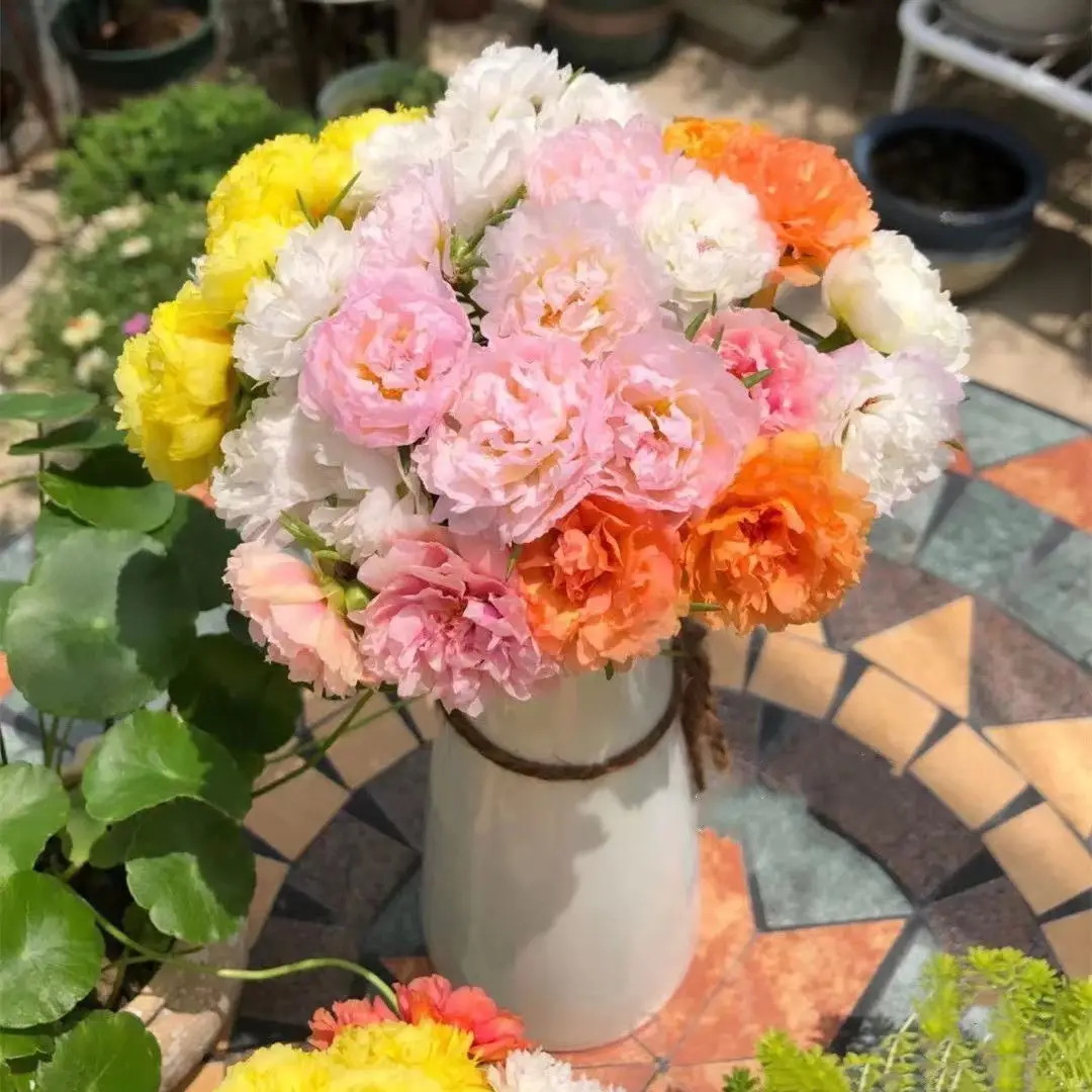 Rose Sunflower Garden Balcony - Simple Survival Four-Season Decorative Fruit Plants Ornaments for Home Garden Enhancement Decoration 13cm x 18cm Versa