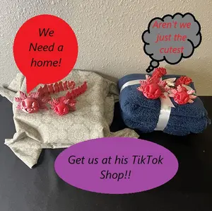 3D Printed Baby Axolotl, Beautifully Articulated, Fun Fidget, Take it with you anywhere, Display in House or Office, Unique Gift Decor Lightweight Figurine Ornaments
