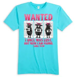 WANTED Luke 15:10 Women's Tee - Medium Length Fitted Short Sleeve Crew Neck Casual Cartoon Dopamine Modern Summer T-Shirt