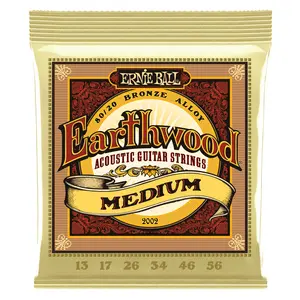 Ernie Ball Earthwood 80/20 Bronze Acoustic Guitar Strings | Medium | 13-56