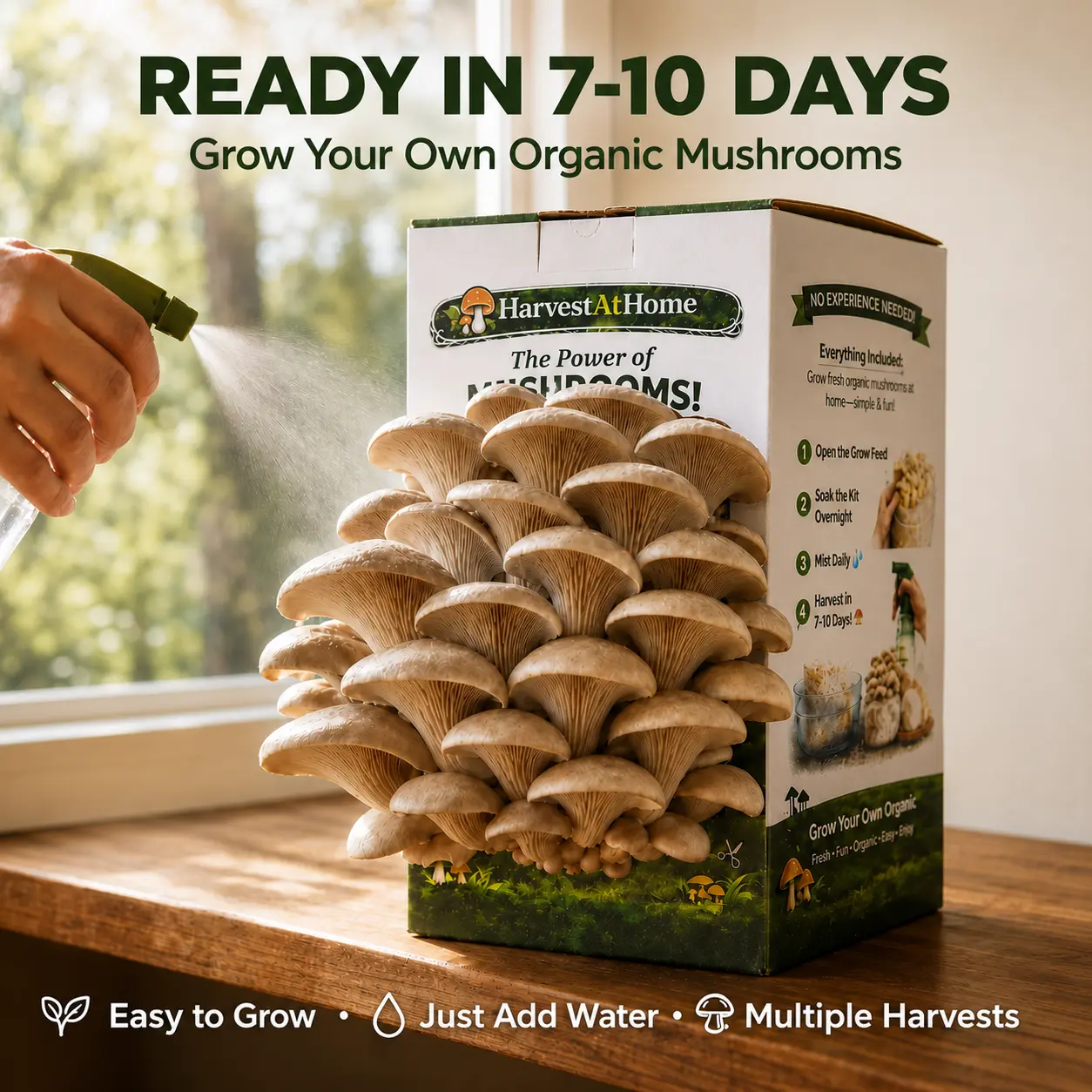 【Summer Sale】Organic Oyster Mushroom Grow Kit 3.5 lb  | 1-7 Days Harvest | Easy to Grow Indoor | No Soil/Sun Required, Multiple Harvests | USDA Organic | Non-GMO | Made in USA | Perfect for Home Kitchen & Gardening EnthusiastsGift for Adults & Kids
