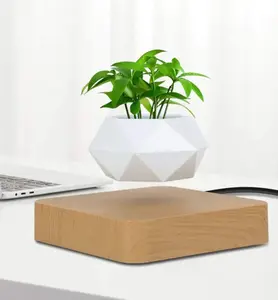 Levitating Air Plant Bonsai Pot Home Decor - For Room, Desk, Office