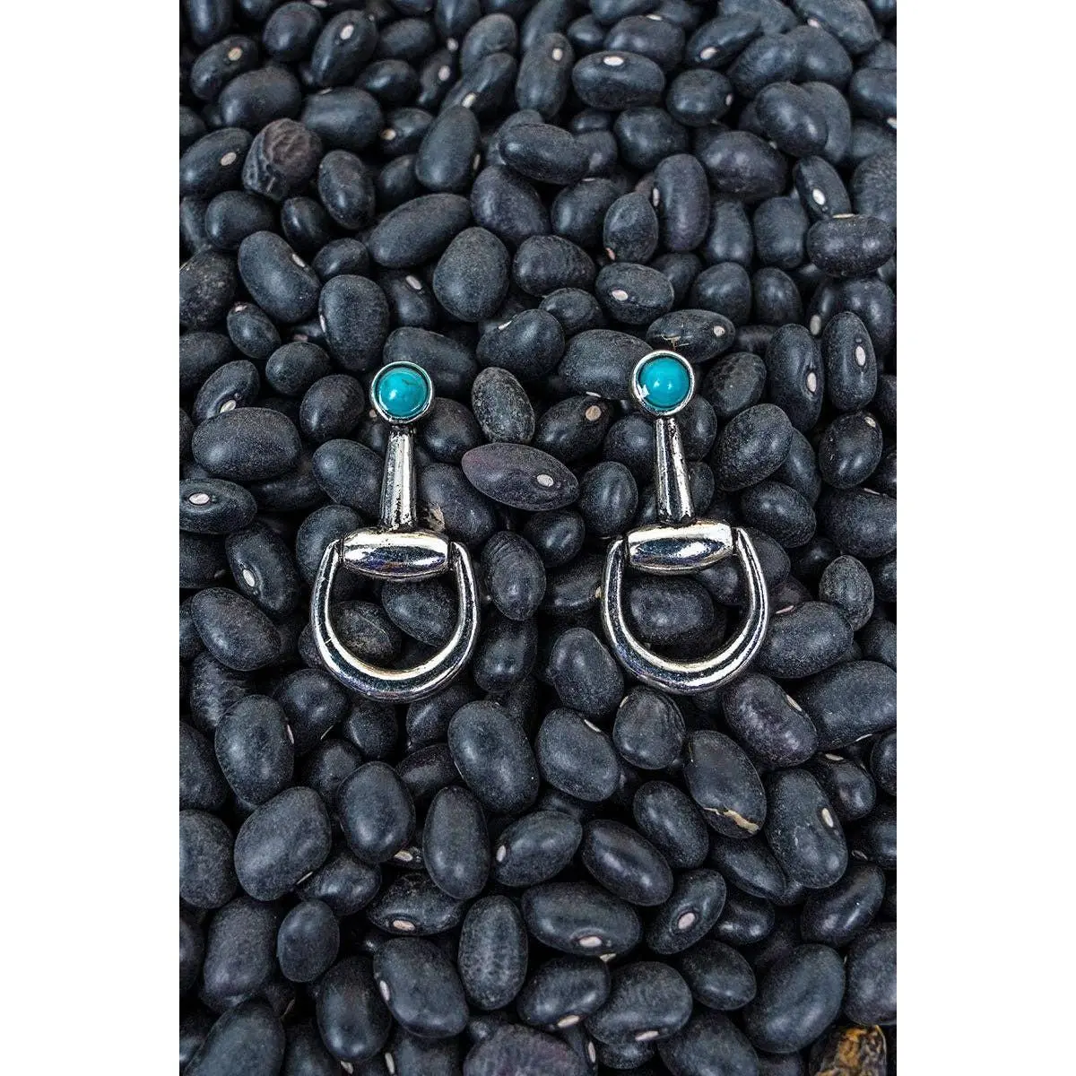 TIPI Turquoise Saddle Society Silvertone Earrings