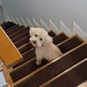 5pcs Non-Slip Stair Mats, Hand Washable &, Moisture-Resistant, Soundproof, Office & Home Use, Self-Adhesive, Durable