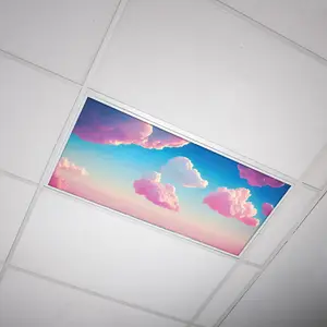 Fluorescent Light Cover - Cloud 021