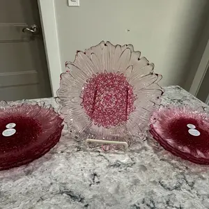 Set de 8 platos wildflower. Princess house