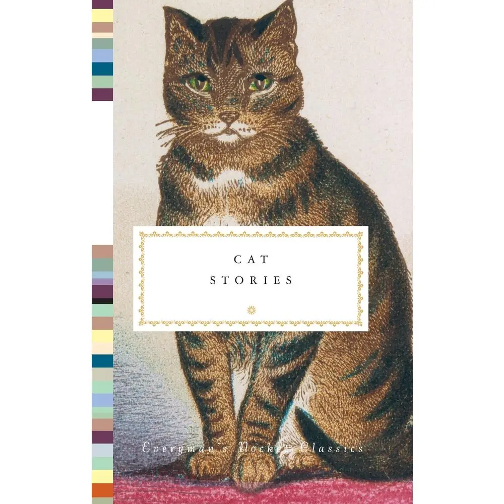 USED Book - Cat Stories (Hardcover) - english