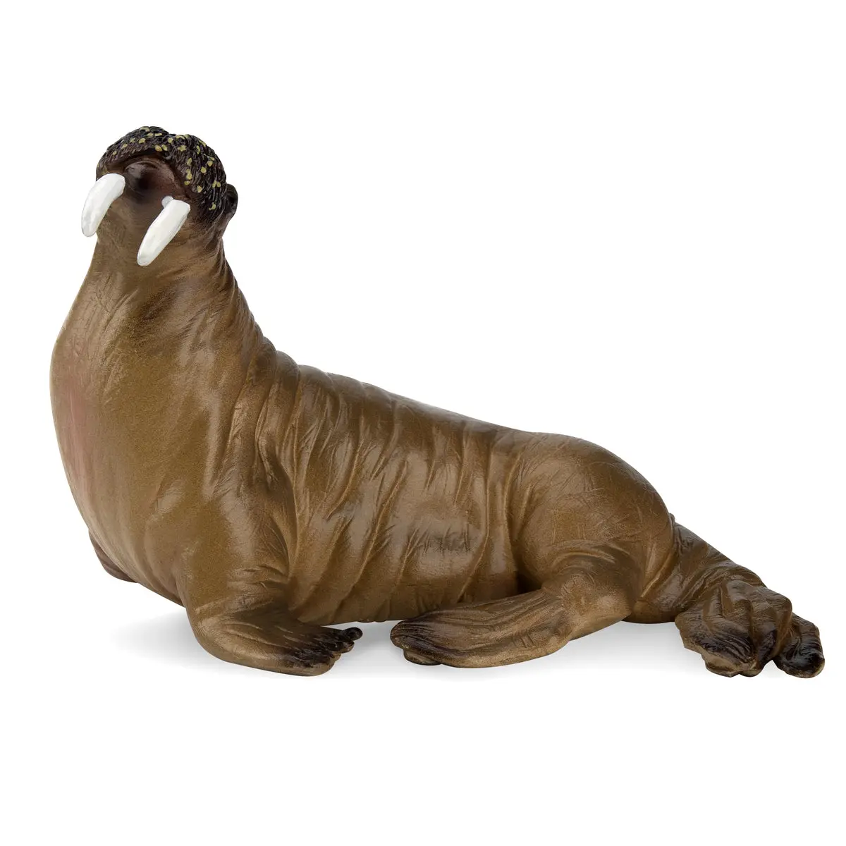 Toymany Hand-Painted Plastic Walrus Figurine - Realistic Marine Animal Model, Ideal for Early Education, Montessori Sensory Play, Thoughtful Gifts & Collectible Toy Figures