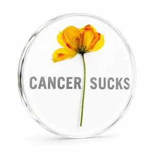 Yellow and Orange Dried Flowers Cancer Sucks Coaster Set - Decorative Tableware for Home Decor