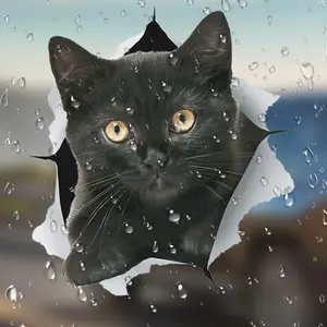 Cat Fun Stickers for Cars Laptops Refrigerators Suitcases Plastic Surfaces, Decorative Adhesive Decals, Cute Animal Design