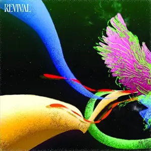 Judah & the Lion - Revival  [VINYL RECORD - LP]