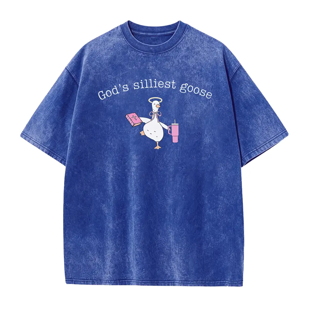 God's Silliest Goose Shirt, Funny Christian T-Shirt Teen Girls, Womens Funny Christian Tee Shirt, Teen Girl Christian Gift