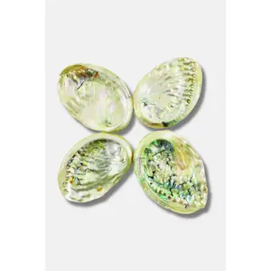 4" Threaded Abalone Shell Bowl