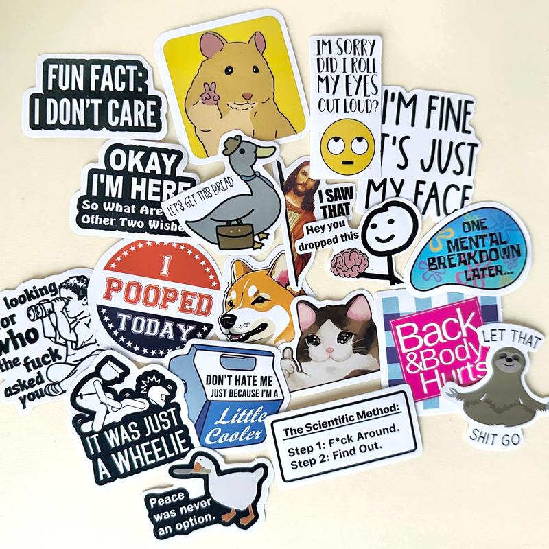 130PCS Funny Saying Sticker Pack - Snarky, Sarcastic Bold Humor Vinyl Waterproof Meme stickers for laptop, computer, water bottle, ipad, phones bumper folding  chair sticker pack