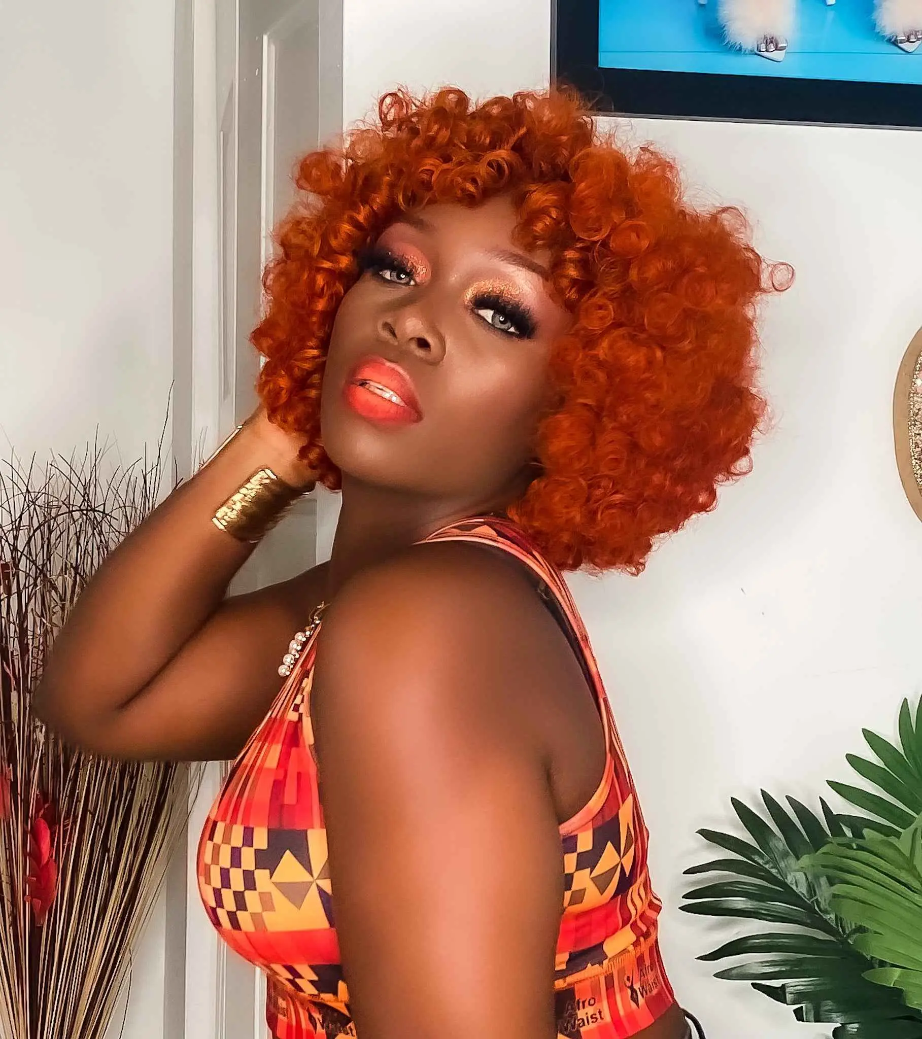 Afro Curly Wig