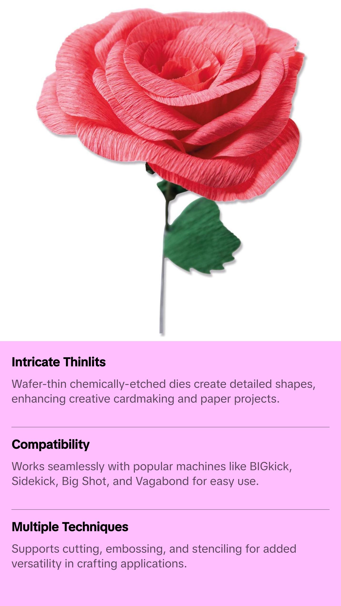 Sizzix Thinlits Die Set 5PK - Classic Rose