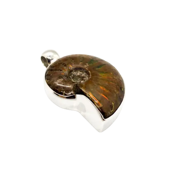 Ammonite pendant in sterling chrome silver