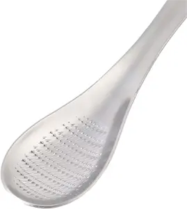 Stainless Steel Kitchen Practical Spoon Shape Fruit Mixer Ginger Grater Wasabi Garlic Grinding Tools Cheese Grater