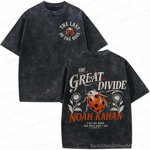 Men's Noah Kahan The Divide Tour 2026 "The Last of the Bugs" Retro Graphic Crew Neck Tee - Comfort Color Wash Streetwear Top, Classic Apparel for Christmas, Birthday