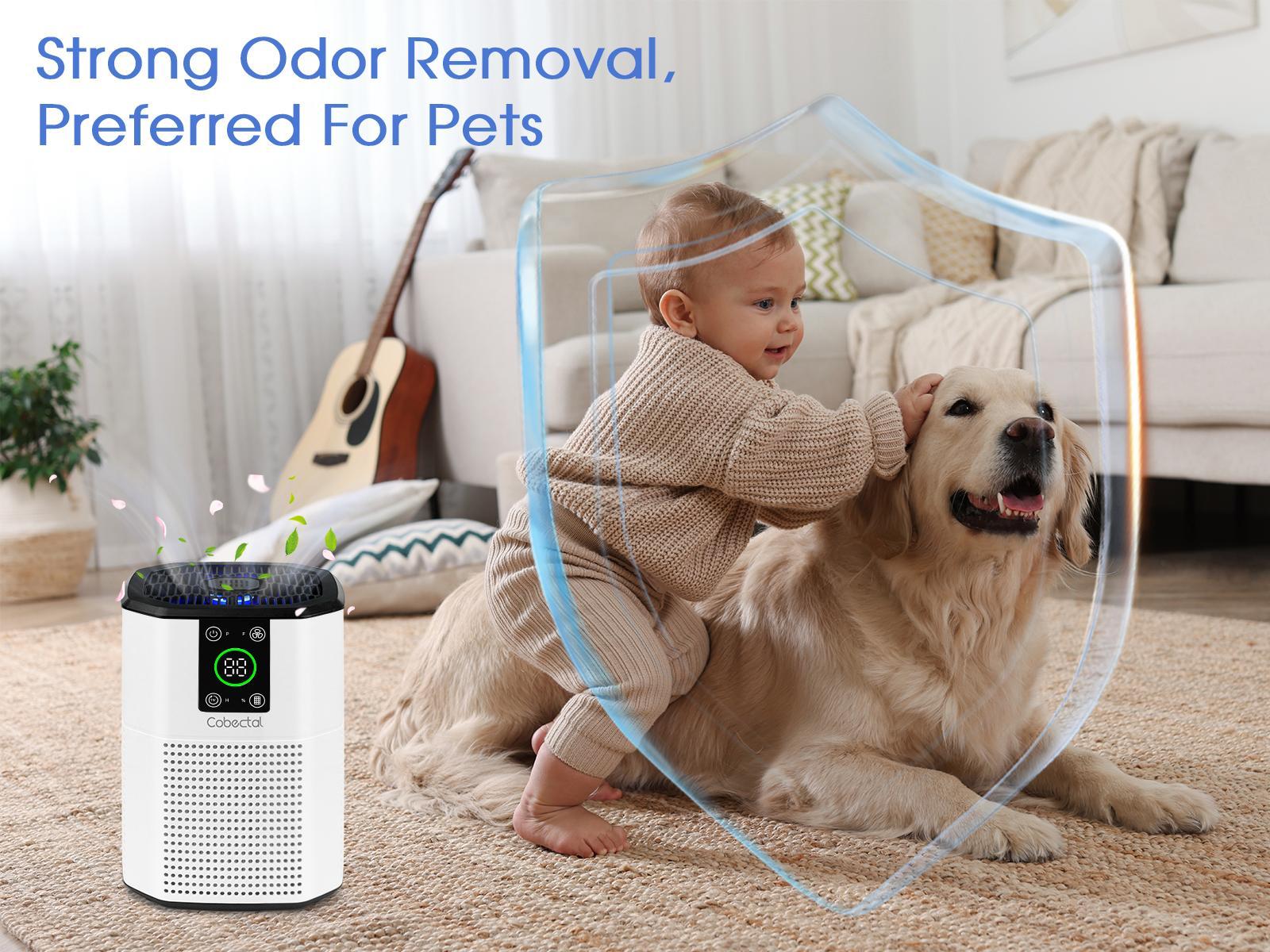 PureWave Ultra-Quiet Air Purifier for Bedroom & Office: H13 HEPA & Dual Purification tackles Allergies, Dust, Pet Dander. Built-in Essential Oil Diffuser adds Aromatherapy to Medical-Grade Cleaning for Better Sleep. Sleek, Portable Design.