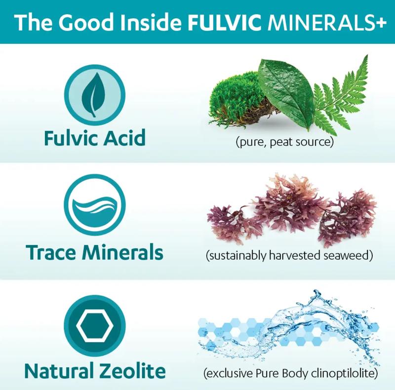 Pure Body Extra 60 mL Touchstone Essentials - Zeolite Detox Pack - Fulvic Detox Pack - DETOX Minerals Dietary Supplement - Healthcare, Vitamin