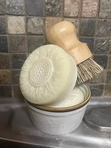 Orange Solid Dish Soap Refill