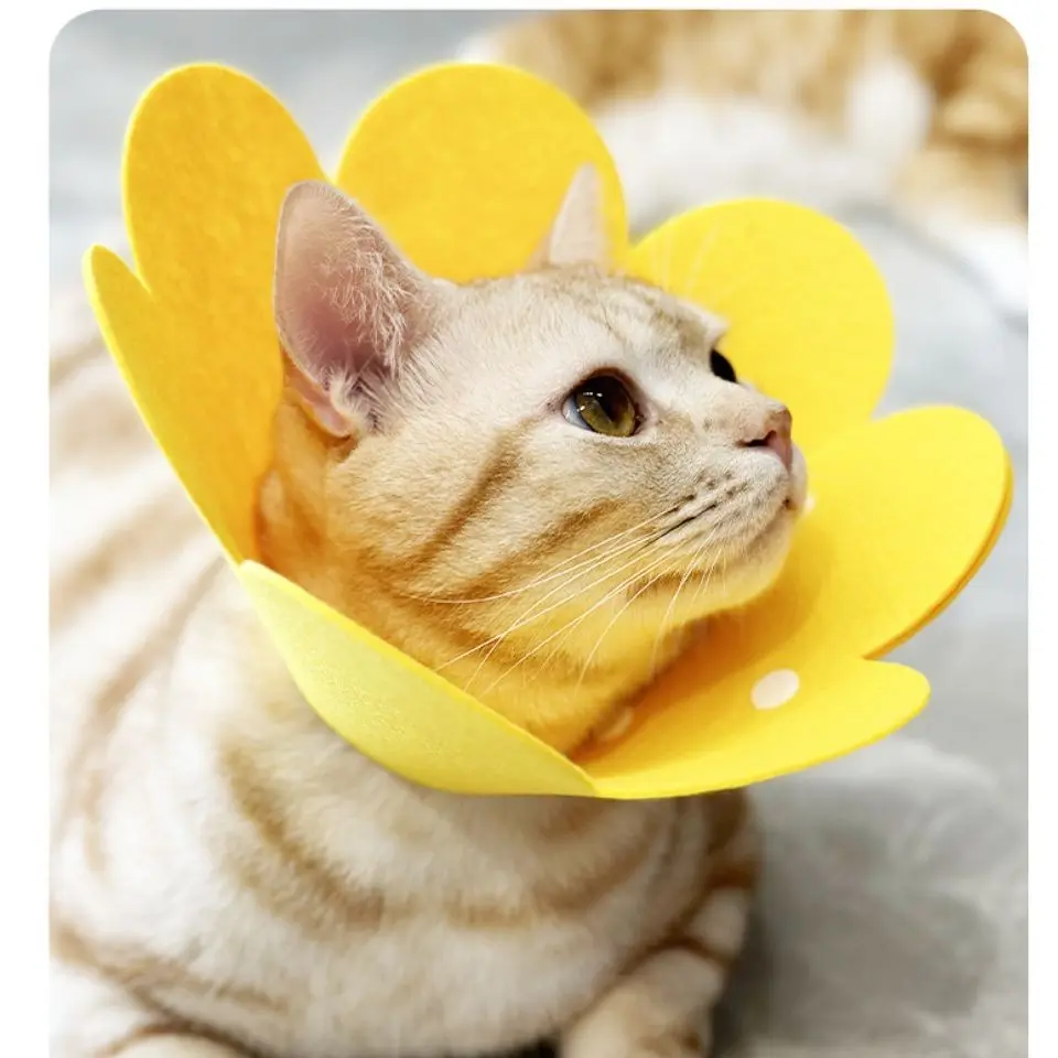 1pc Elizabeth recovery collar, prevents licking and biting, post-surgery scratch protection, comfortable and soft cat headgear