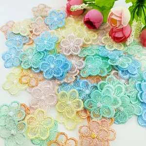 30 Pcs Embroidered Lace Flower Mesh Hair Accessories, DIY Craft Supplies for Shoes Hats Clothing Decoration, Floral Appliques, Fabric Appliques for Sewing Projects