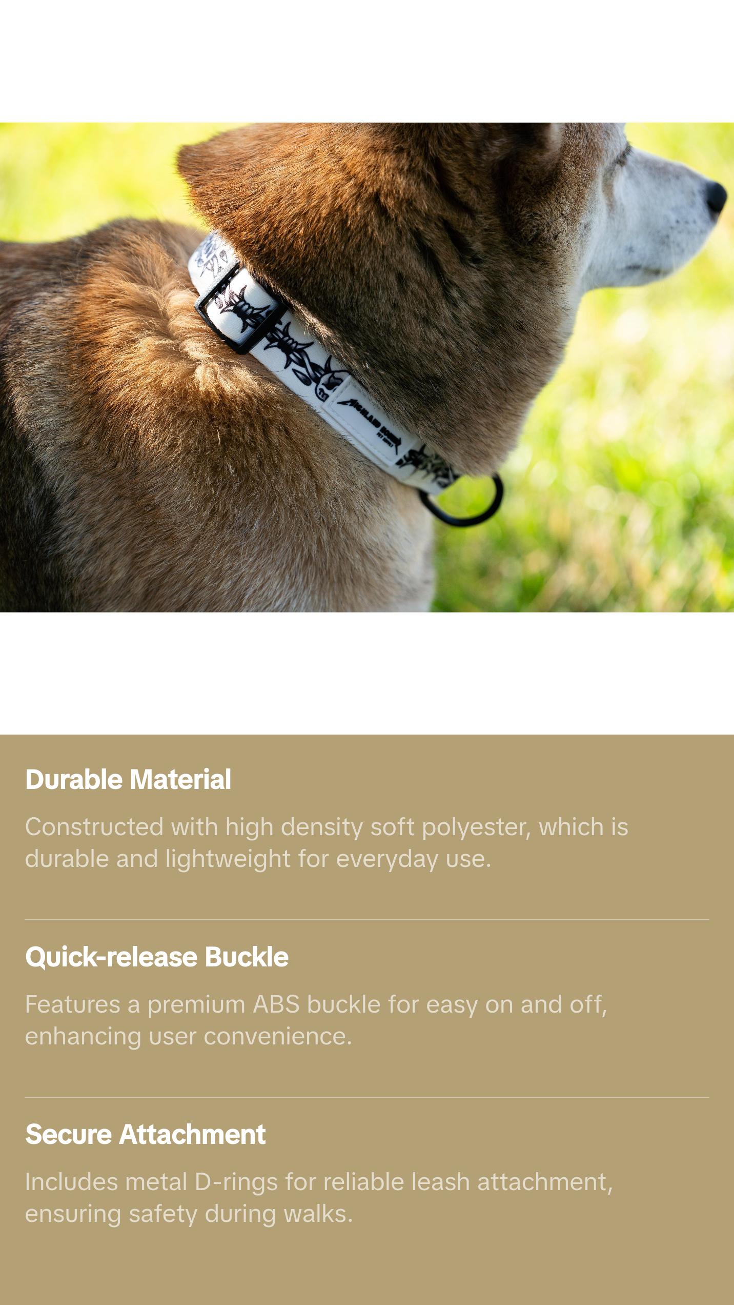 COLLAR - BARB WIRE WHITE