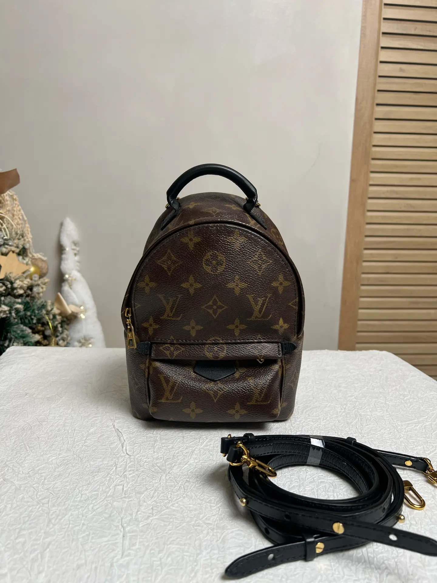 Pre-owned Louis Vuitton Monogram Leather Palm Springs Mini Backpack, Style CC0004