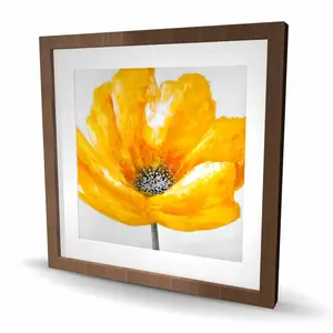 212 MAIN Framed Matted Print Wall Art - 24x24 in Vibrant Yellow Flower Artwork, Artistic Home Decoration, Ideal Gift for Room Decor (Model C1FM2424ECQDIY)