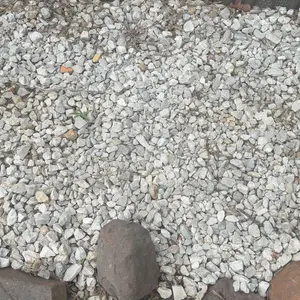 review image 5