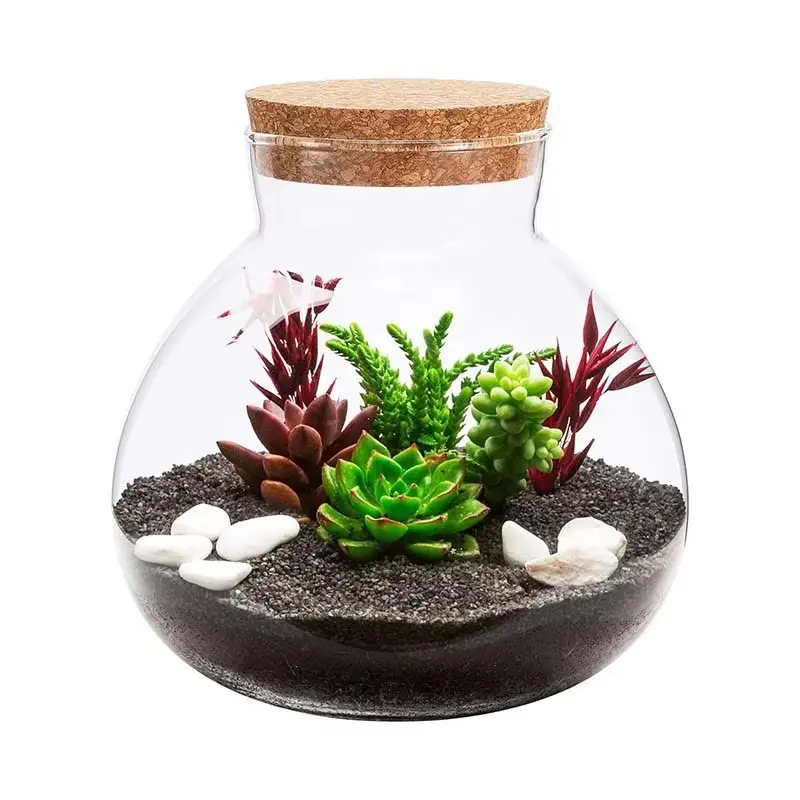 Glass Terrarium Jar with Cork Lid