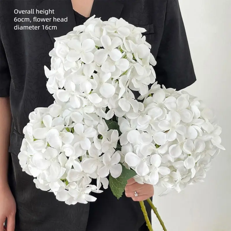 3 light white Elsa hydrangeas