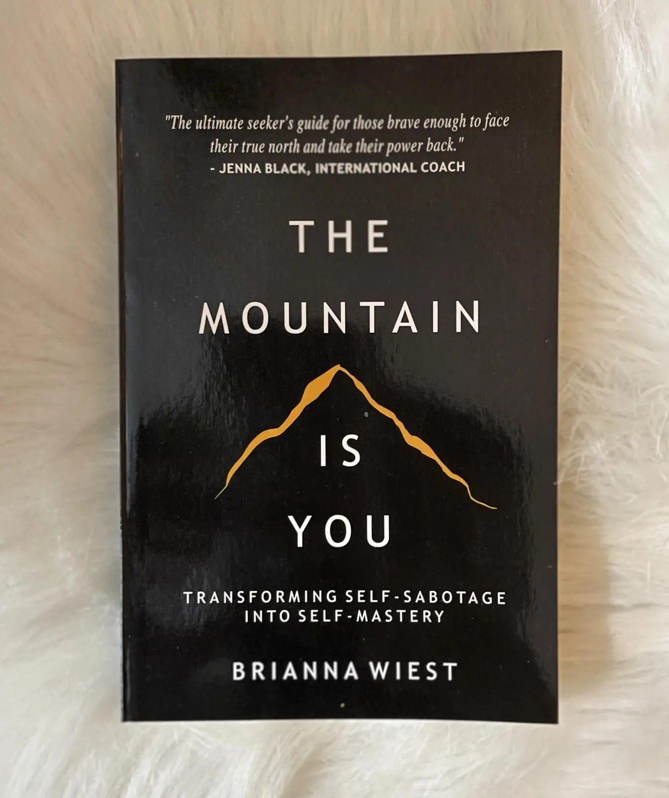 The Mountain Is You: Transforming Self-Sabotage Into Self-Mastery (Paperback) Self Improvement Journal Workbook