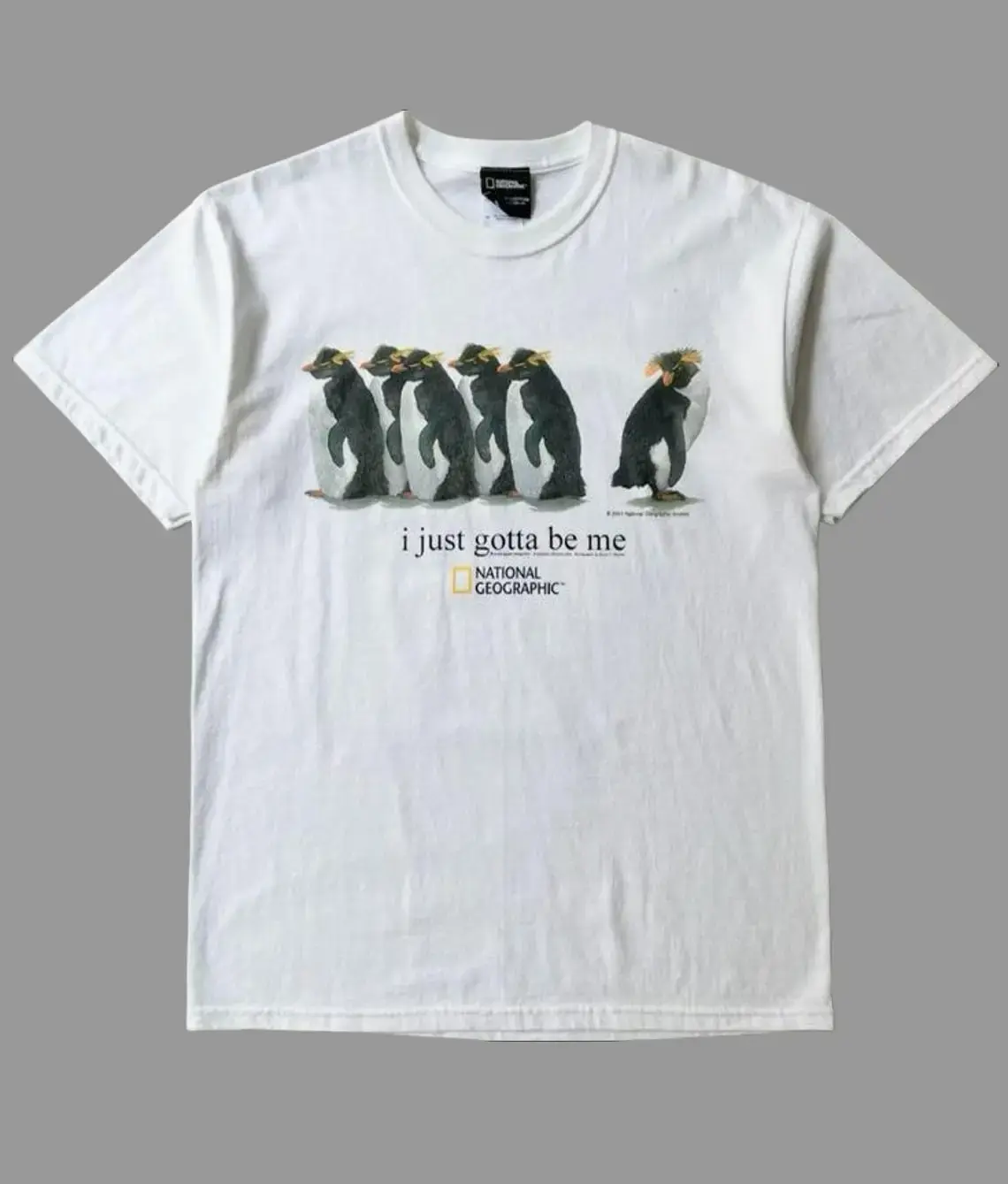 Vintage National Geographic I Just Gotta Be Me Penguins T-Shirt, Funny Trending Penguins Animal Shirt