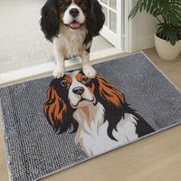 Cavalier Spaniel