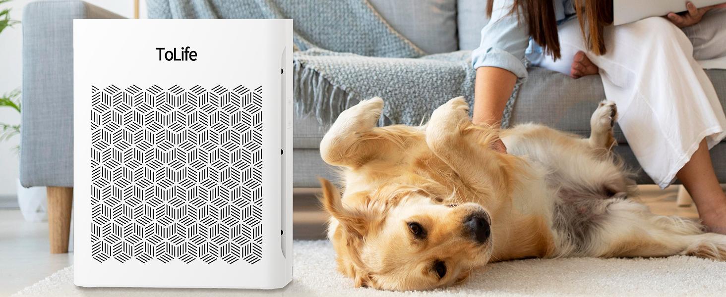 ToLife NEW TZ-K2 Air Purifier for Large Rooms (up to 1095 Ft²). PM 2.5 Display, Auto Mode, Timer, HEPA Filter—removes smoke, pollen, and pet dander!