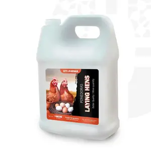 Supplement for Hens – Laying Hens