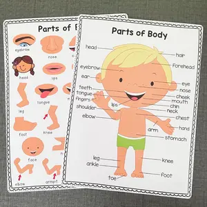 Body Parts Learning Poster, 2 Counts/set Body Parts Text Preschool Classroom Decoration Poster, Classroom Supplies Charts, Home School Supplies, School Education Poster